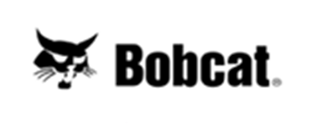 Bobcat